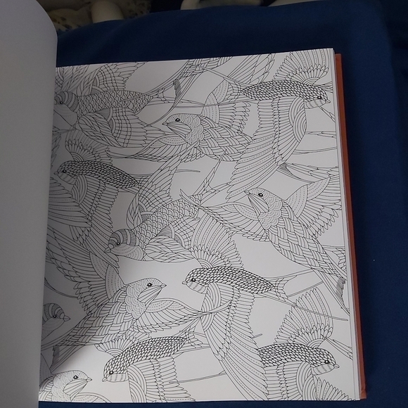 𝅺coloring book Wild Savannah - Picture 3 of 7